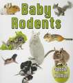 Baby Rodents