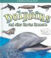 Dolphins and Other Marine Mammals