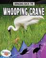 Bringing Back the Whooping Crane