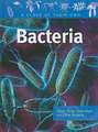 Bacteria: Staph, Strep, Clostridium, and Other Bacteria