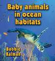 Baby Animals in Ocean Habitats