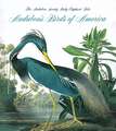 Audubon's Birds Of America: The National Audubon Society Baby Elephant Folio