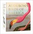 Audubon's Birds of America