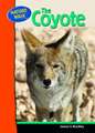 The Coyote