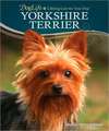 Yorkshire Terrier [With DVD]