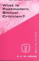 What Is Postmodern Biblical Criticism?: An Introduction to It's Traditions and Tasks