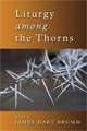 Liturgy Among the Thorns: Essays on Worship in the Reformed Church in America