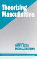 Theorizing Masculinities