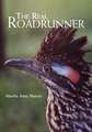 The Real Roadrunner