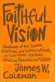 Faithful Vision: Treatments of the Sacred, Spiritual, and Supernatural in Twentieth-Century African American Fiction