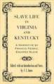 Slave Life in Virginia and Kentucky