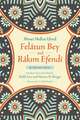 Felatun Bey and Rakim Efendi: An Ottoman Novel