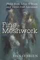 Fine Meshwork