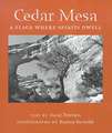 Cedar Mesa: A Place Where Spirits Dwell