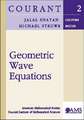 Geometric Wave Equations