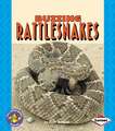 Buzzing Rattlesnakes