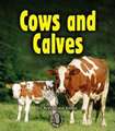 Cows and Calves