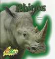 Rhinos