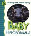 Baby Hippo San Diego Zoo: 100 Reflections on the Ways God's Love Keeps Us Growing [With Journal]