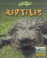 Reptiles