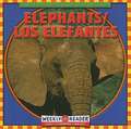 Elephants/Los Elefantes