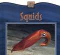 Squids