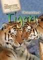 The Secret Lives of Tigers