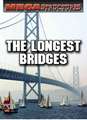 The Longest Bridges