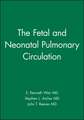 The Fetal and Neonatal Pulmonary Circulations