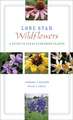 Lone Star Wildflowers: A Guide to Texas Flowering Plants