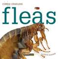 Fleas