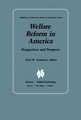 Welfare Reform in America: Perspectives and Prospects