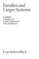 Families and Larger Systems: A Family Therapist's Guide through the Labyrinth