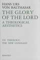 The Glory of the Lord, Volume 7: Theology, the New Covenant