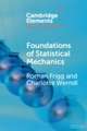 Foundations of Statistical Mechanics