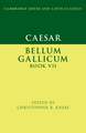 Caesar: Bellum Gallicum Book VII