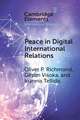 Peace in Digital International Relations: Prospects and Limitations