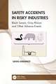 Safety Accidents in Risky Industries: Black Swans, Gray Rhinos and Other Adverse Events