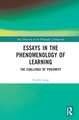 Essays in the Phenomenology of Learning: The Challenge of Proximity