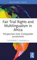 Fair Trial Rights and Multilingualism in Africa: Perspectives from Comparable Jurisdictions