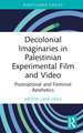 Decolonial Imaginaries in Palestinian Experimental Film and Video: Postnational and Feminist Aesthetics