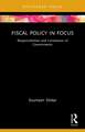 Fiscal Policy in Focus: Responsibilities and Limitations of Governments