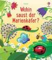 Wohin saust der Marienkäfer?