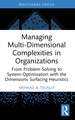 Managing Multi-Dimensional Complexities in Organizations: From Problem-Solving to System-Optimization with the Dimensions Surfacing Heuristics