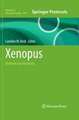 Xenopus