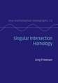 Singular Intersection Homology