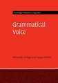 Grammatical Voice