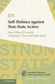 Self-Defence against Non-State Actors: Volume 1