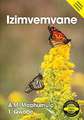 Izimvemvane (IsiZulu)