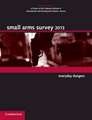 Small Arms Survey 2013: Everyday Dangers